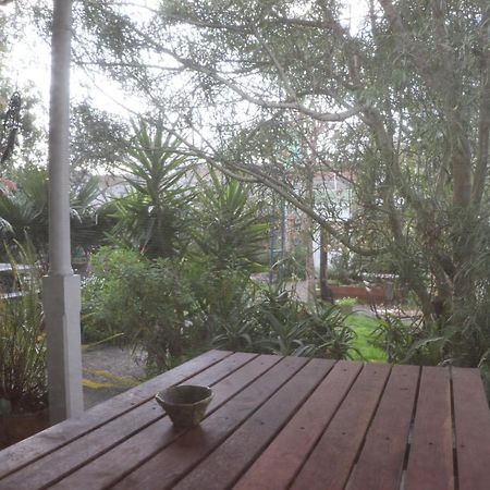 Oasis Accommodation Opotiki Extérieur photo